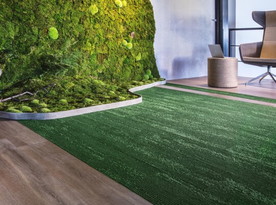 26002-380-LL100 - Thereca (1).jpg